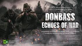 Donbass: Echoes of War