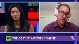 The cost of AI development