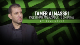 Palestinian ambassador to Zimbabwe spoke with RT on war in Gaza